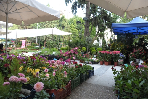 2015 11 02 giorti louloudion