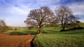 croppedimage645300 Stour Valley in Spring